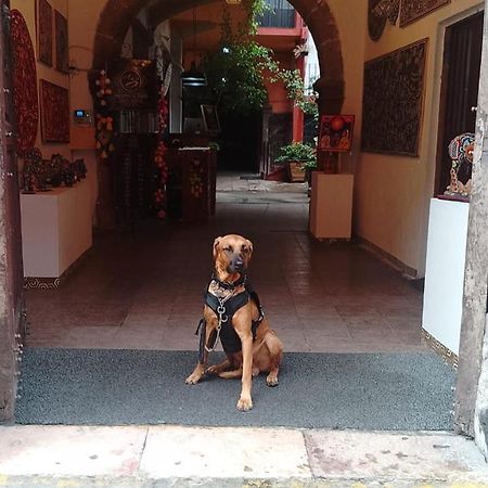 Aparthotel Sarita Centro Historico Sma サン・ミゲル・デ・アジェンデ エクステリア 写真