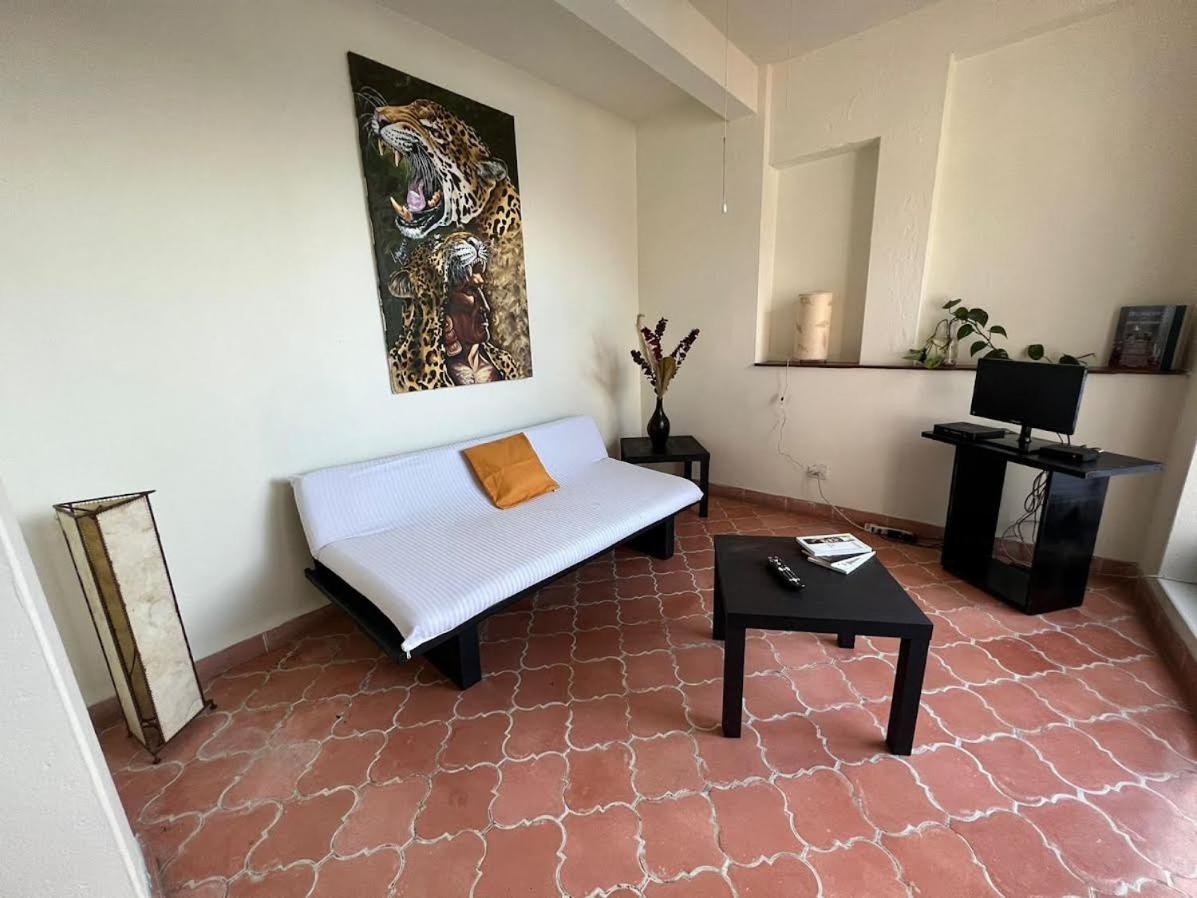 Aparthotel Sarita Centro Historico Sma サン・ミゲル・デ・アジェンデ エクステリア 写真