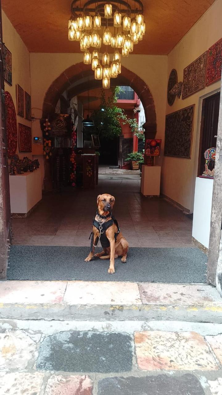 Aparthotel Sarita Centro Historico Sma サン・ミゲル・デ・アジェンデ エクステリア 写真